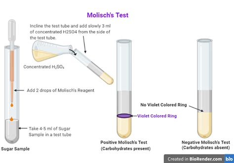 Molisch’s Test.